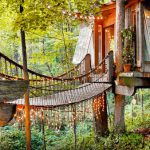 Dschungel-Baumhaus-Airbnb